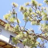 BOND（大阪府 コテージ・ロッジ・一棟貸） / 3