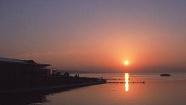 観光スポット / 8