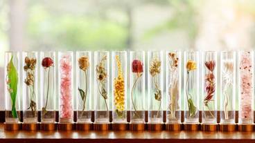 デザイナーショップ / 37