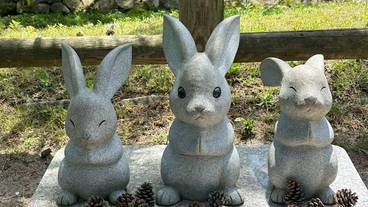 出雲大社のうさぎ(3) / 9