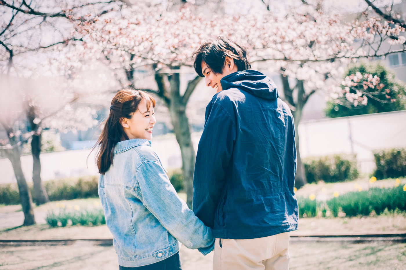桜 春 カップル 夫婦