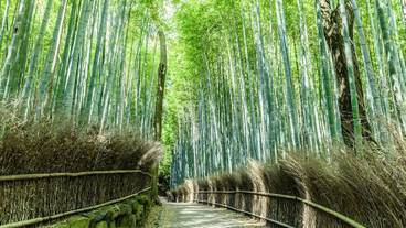 宿泊施設の地図 / 3