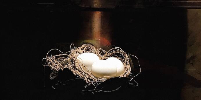 仙石原久の葉（神奈川県 旅館） / 1