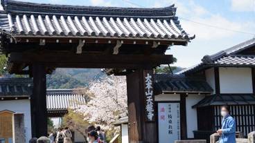 シティ ビュー / 27