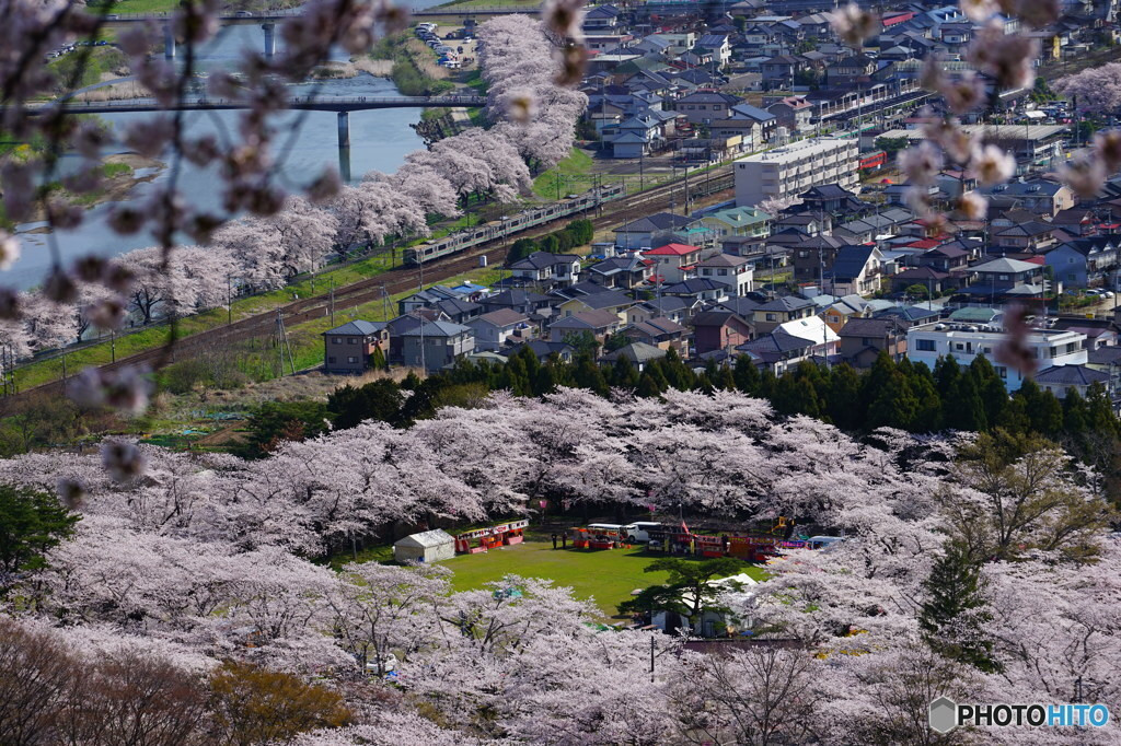 1.船岡城址公園1558978
