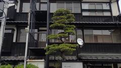 赤湯温泉 大正ロマン香る癒しの宿 丹波館