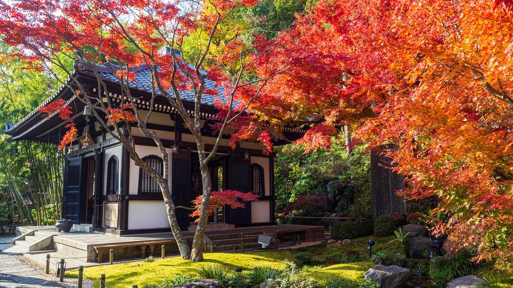 古都の情緒あふれる
「長谷寺」を巡る / 4