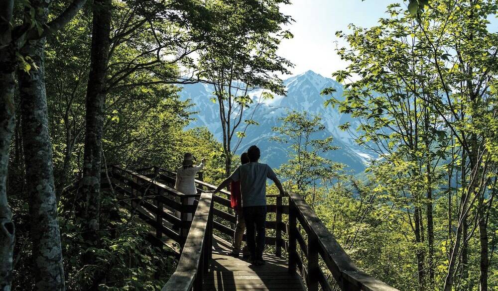 キャノピーウォーク / 1