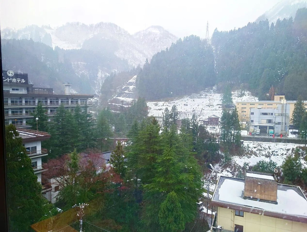 mikaeru_kappaさんの写真 / 2