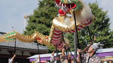 シティ ビュー / 10