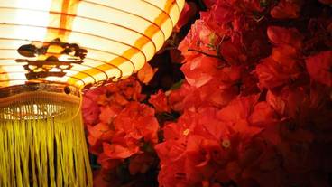 施設からの眺望 / 27