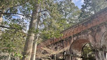 ランド ビュー / 39