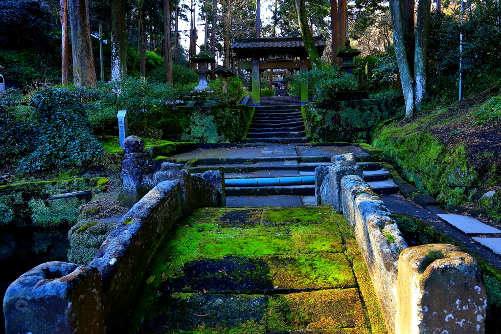 週末デートは、鎌倉のお寺を巡って自然に癒されよう♪2259133