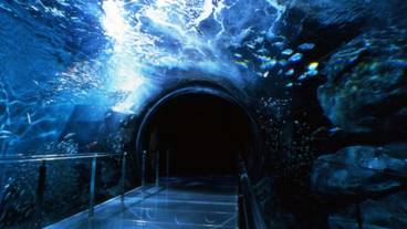 観光スポット / 29