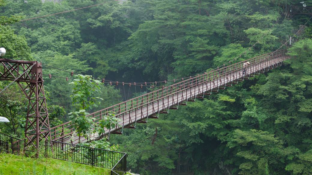 鬼怒楯岩大吊橋 / 3