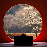 王道の鎌倉散策を楽しもう。鎌倉観光におすすめのお寺・神社