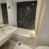 たまゆら温泉 宮崎観光ホテル（宮崎県 シティホテル） / 4