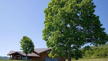 施設からの眺望 / 14