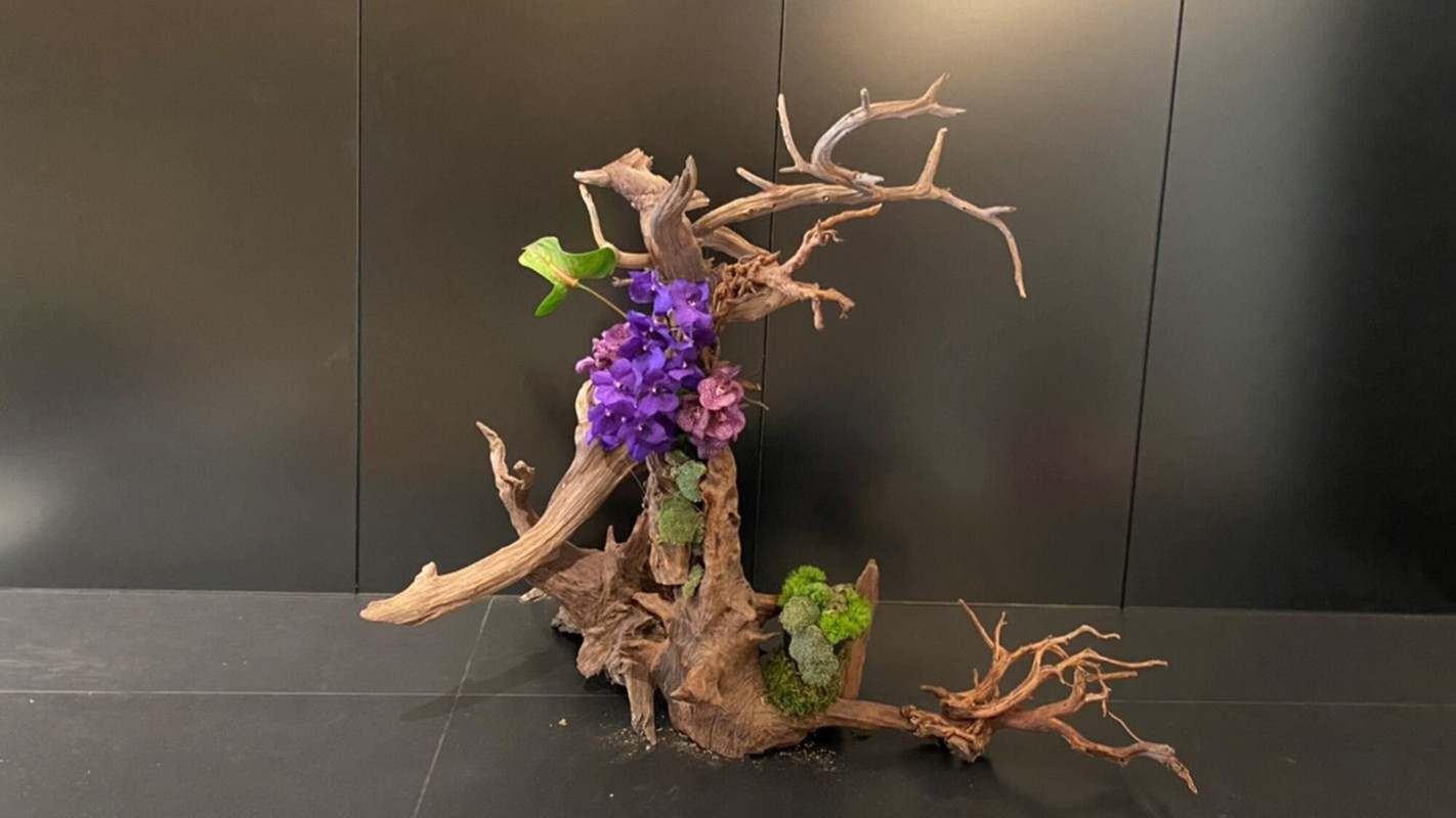 フレイザースイート赤坂東京(フレイザースイートアカサカトウキョウ) / 5