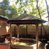 鶴巻温泉 元湯 陣屋（神奈川県 旅館） / 4