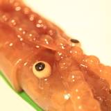 はこだて 柳屋（ハコダテヤナギヤ）