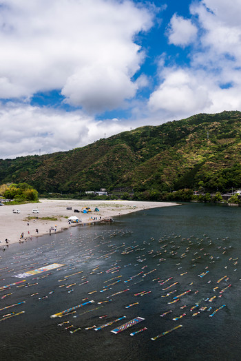 機織りやカヌー体験、そしてレンタサイクル、体を動かして高知を満喫！3505202