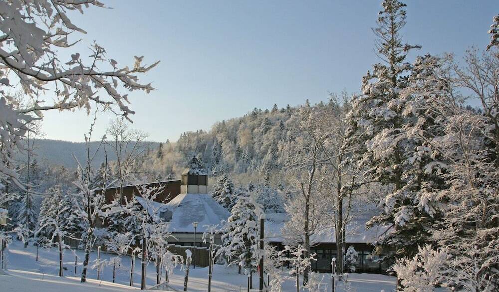 ノンノの森／冬の風景 / 5