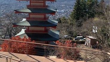 シティ ビュー / 13