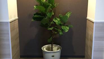 バスルーム / 26