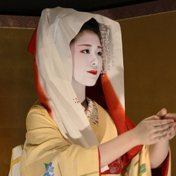 ホテルで舞妓さんに会える！？3736371