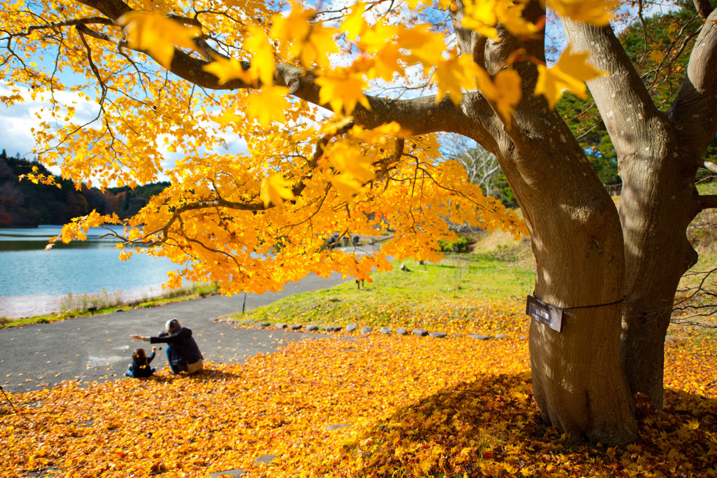 極上の癒しを追及する「星野リゾート」4247566