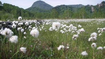 施設の敷地 / 16