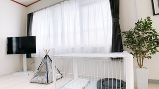 ファミリー ルーム 禁煙 (501)