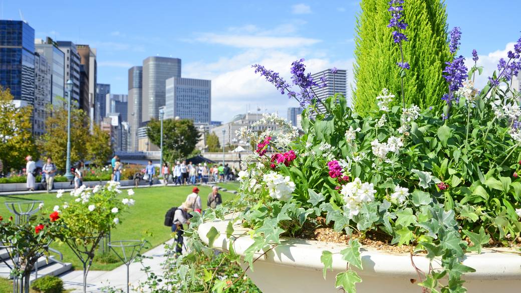 中之島バラ園 / 2