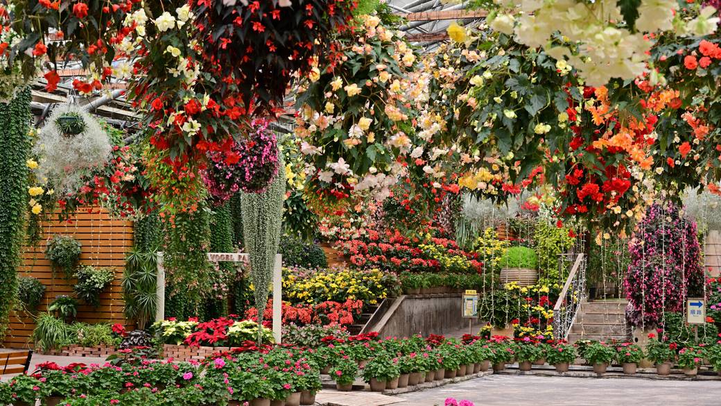 松江フォーゲルパーク / 1