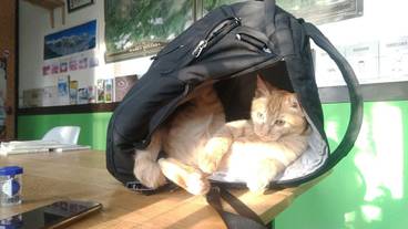 リビング エリア / 30