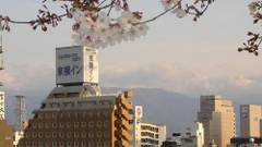 東横イン甲府駅南口1