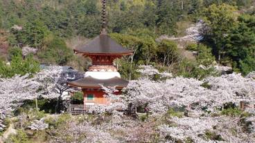 施設からの眺望 / 34