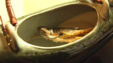 食事・飲み物 / 16