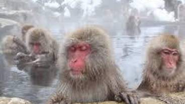 子供向けアクティビティ / 9