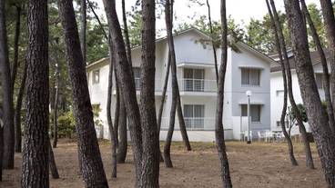 メイン イメージ / 1