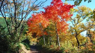 施設からの眺望 / 12