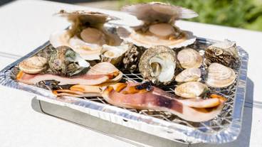 バーベキュー / ピクニック エリア / 33