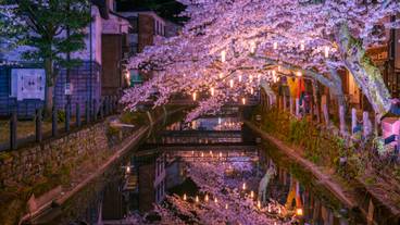 木屋町通り周辺（春） / 4