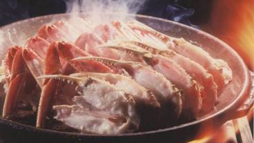 レストラン / 14