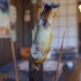 きのこの里 鈴加園(キノコノサトスズカエン)