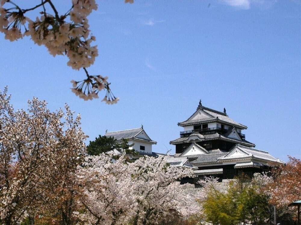 施設からの眺望