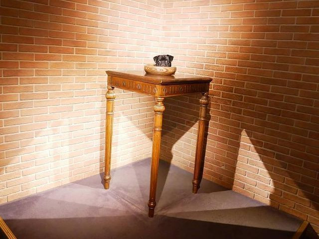 pugnsk3さんの写真 / 2