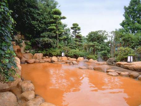 有馬温泉 兵衛向陽閣 / 2