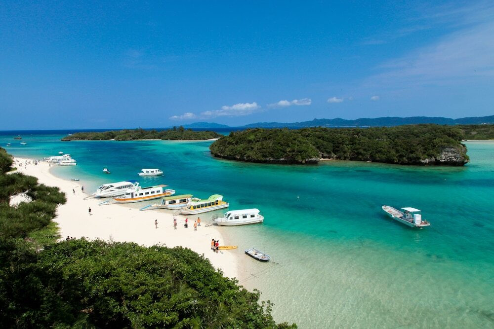 ビーチ / オーシャン ビュー